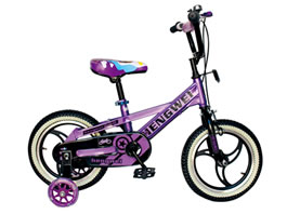 童車(chē) HW-TC1211